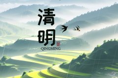 公司新闻-美狮贵宾会